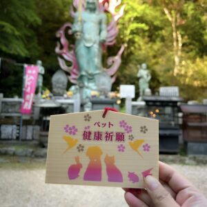 Ema protection des animaux de compagnie.