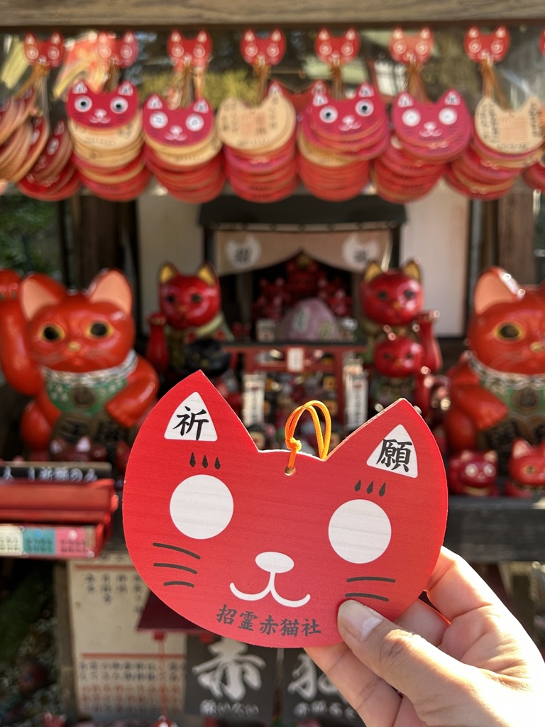 2AC30F3F-972C-4E64-9FAB-FF5F91FB41A1_1_105_c